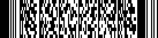 PDF417-format barcode example